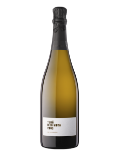 Turó d'en Mota de Recaredo...