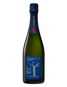 Henri Giraud Esprit Nature...