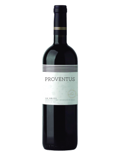Proventus 2019 - Vinos Tintos de Bodegas Raventós i Blanc - 1