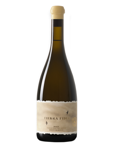 Tierra Fidel Blanco 2018 - Vinos Blancos de Bodegas Tierra - 1