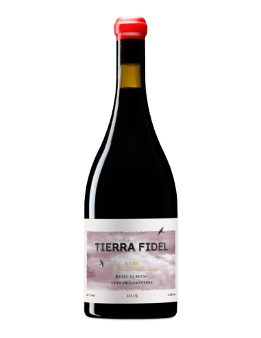 Tierra Fidel Tinto 2019 - Vinos Tintos de Bodegas Tierra - 1