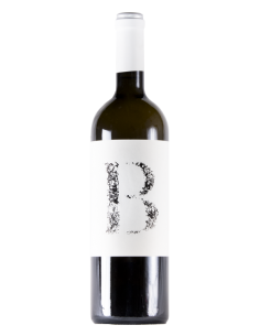 Mondalón Blanco 2023 - Vinos Blancos de Bodegas Mondalón - 1