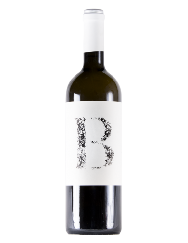 Mondalón Blanco 2023 - Vinos Blancos de Bodegas Mondalón - 1