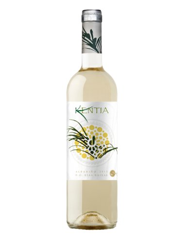 Kentia 2021 - Vinos Blancos de Bodegas Juan Gil - 1