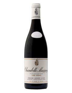 Domaine Antonin Guyon...