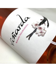 Viñarda Rosado 2024 - 75cl 2