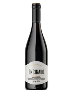 Michelini i Mufatto...