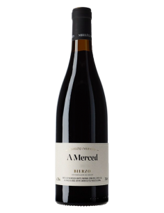 Michelini i Mufatto A...