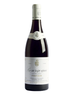 Antonin Guyon Bourgogne...