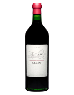 Teroldego Foradori 2023 - 75cl