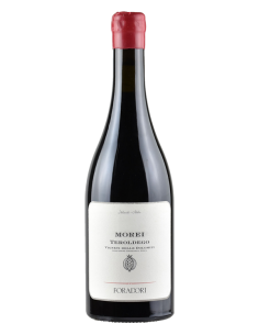 Teroldego Morei 2023 - 75cl