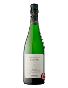 Recaredo Reserva Particular...