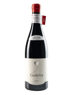 Singulares Garnacha...