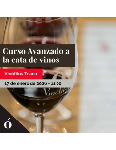 GC - Curso avanzado a la...