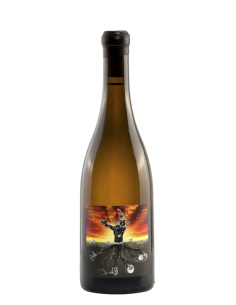 Microbio 2023 - 75cl