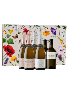 Estuche Raventós 6 botellas...