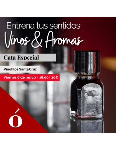 TF - Santa Cruz - Entrena...