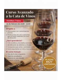 GC - Curso avanzado a la...