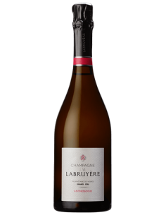 Champagne Anthologie Rosé...