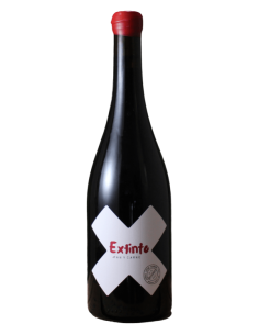 Extinto Puerta Del Viento Pan Y Carne 2025 - 75cl