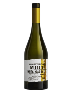 Miut Santa Magdalena 2021 -...