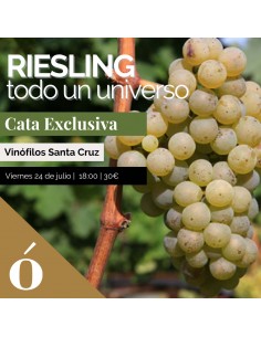 TF - Cata de vinos uva...
