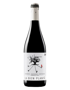 La Bien Plantá 2024 - 75cl