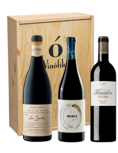 Sabores de España: Un Viaje...