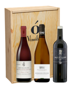 Uvas Icónicas: Un Viaje por...