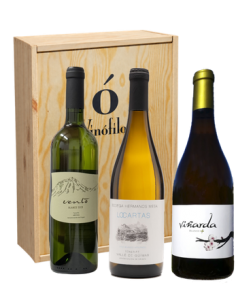 Vinos blancos de Tenerife...
