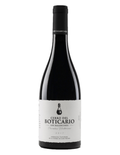 Cerro del Boticario 2020 -...