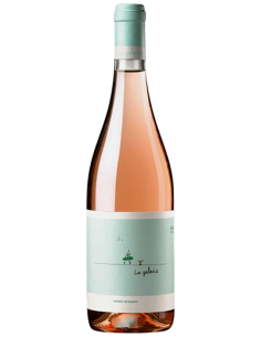 La Galaxia Fento Wines 2025...