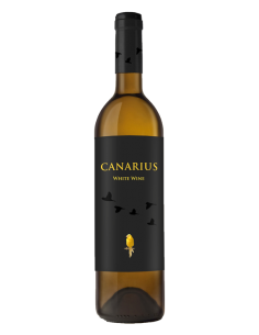 Canarius Blanco Seco 2022*** - Vinos Blancos de Bodegas Tajinaste - 1